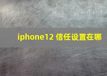 iphone12 信任设置在哪